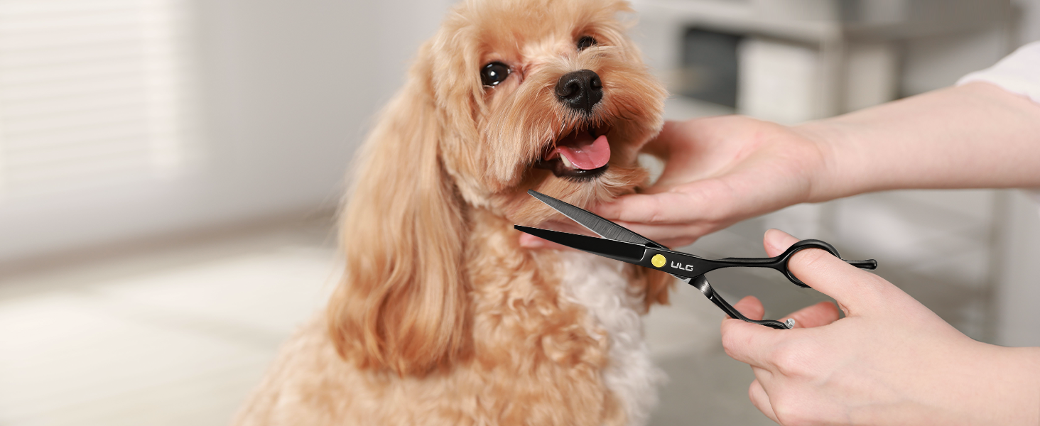 barber shears