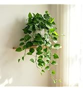 Trailing Artificial Pothos Plant with Ceramic Pot, Potted Faux Greenery with Adjustable Drooping ...