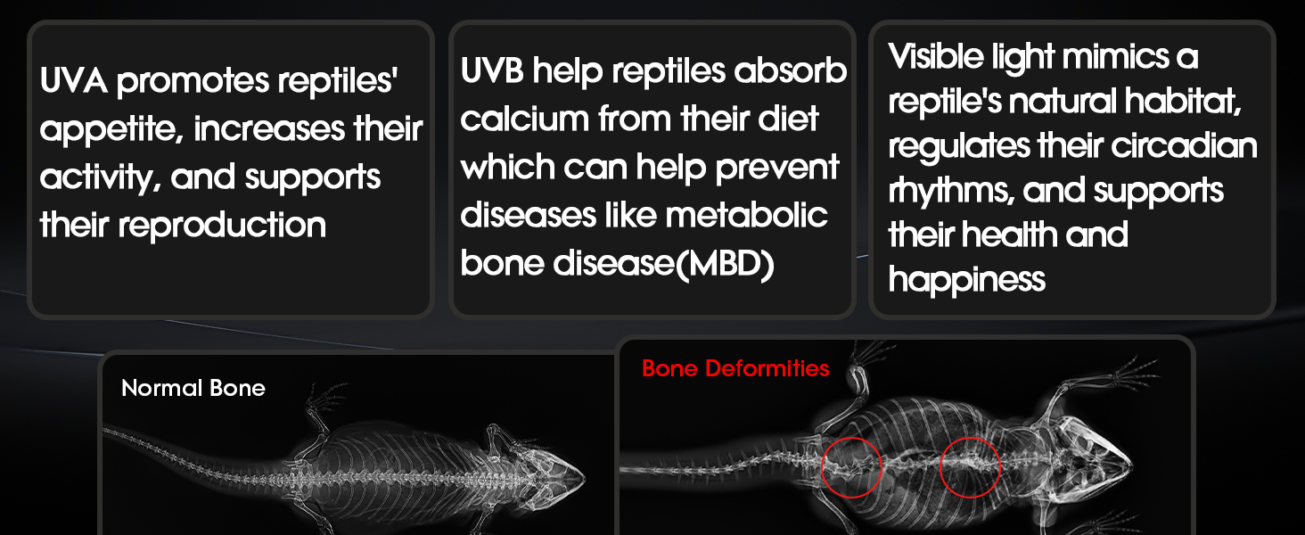 uvb light for bearded dragon