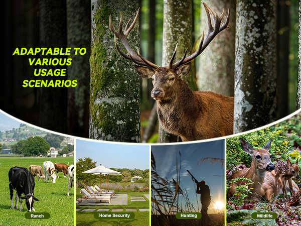 4G trail camera cellular