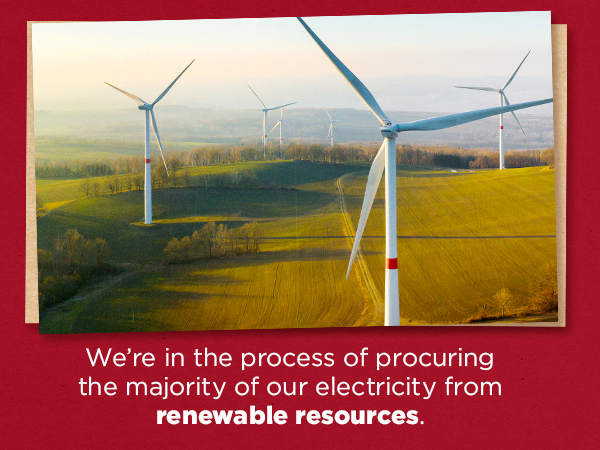 Energy Use and Renewables