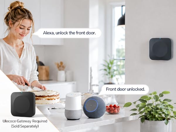 smart lock