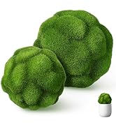 DOITOOL 2 Pcs Green Moss Balls Decorative Balls Bowl Fillers for Centerpiece 4.7" and 4" Handmade...