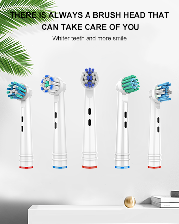 Toothbrush Heads