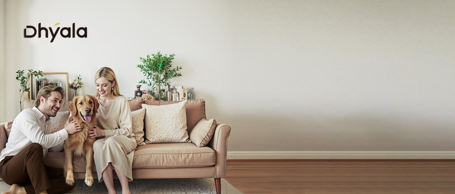 Dhyala air purifier