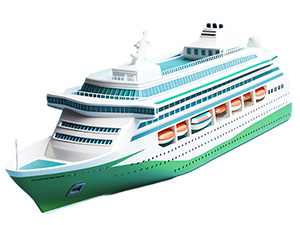 Cruise Accessories Haves