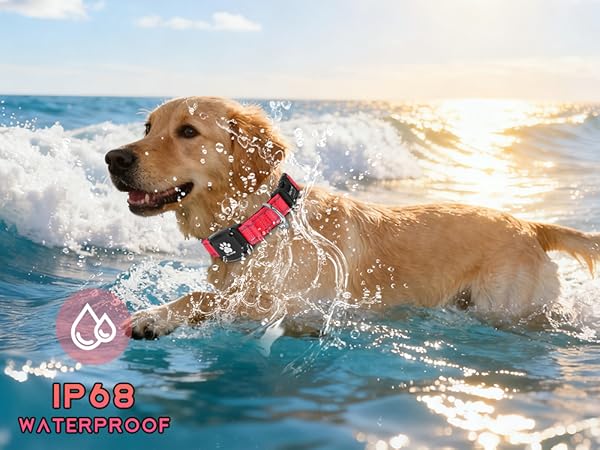 MYIWB IP68 Waterproof Dog Tracking Collar, Swim-Safe, Real-Time GPS