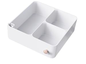 makeup organization for vanity