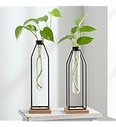 Houmury Test Tube Vase Set of 2, 11&12.5 Inch Flower Vases with Iron Stand & Wood Base, for Home ...