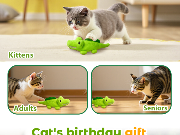 cat toys for indoor cats best sellers