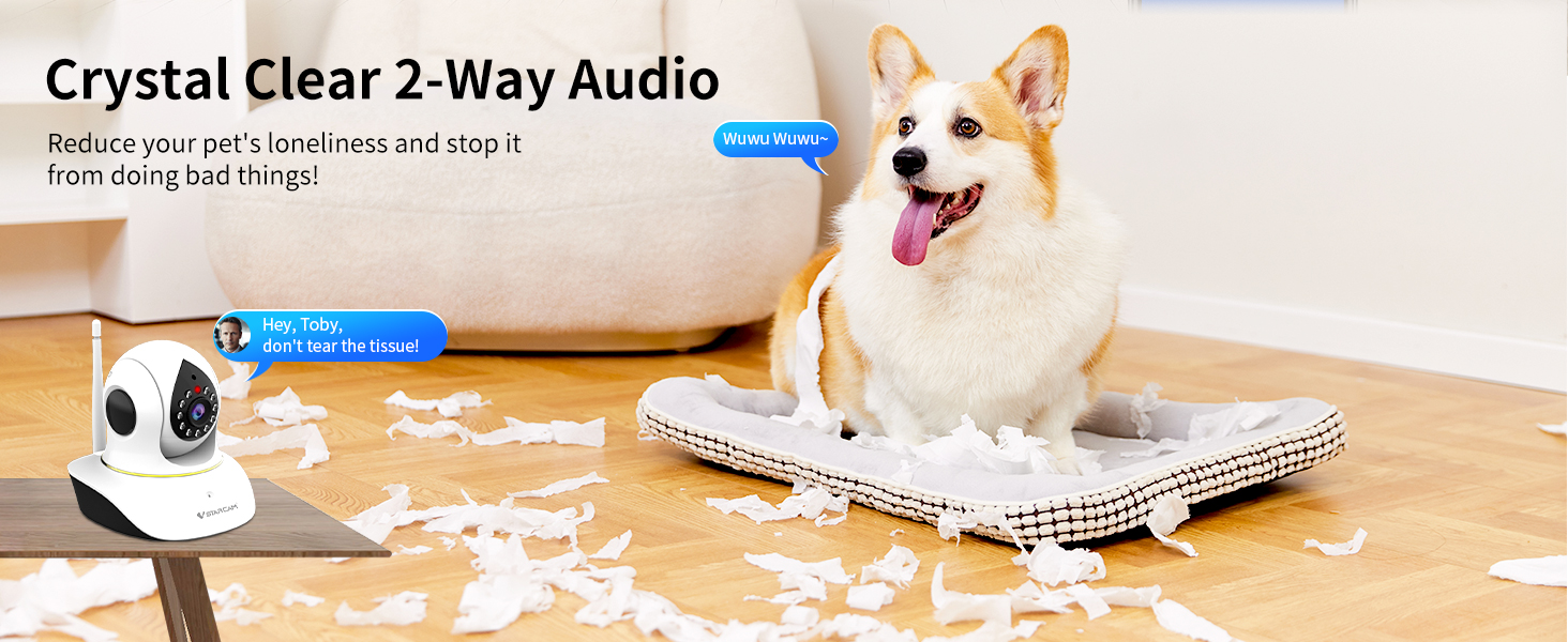 pet camera with phone app 2 way audio