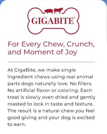 GIGABITE