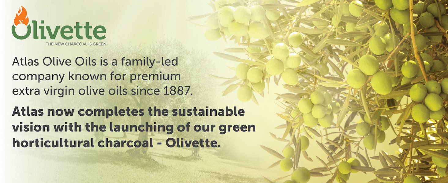 olivette