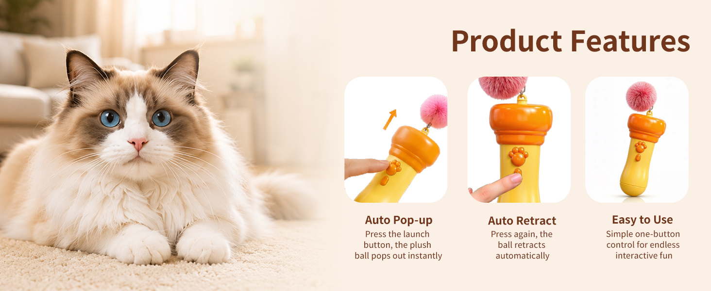 feather cat toy