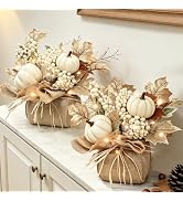 Timer - 2 Pack Fall Tabletop Maple Tree with 20LEDs | Fall Decorations for Home Lighted Fall Tree...