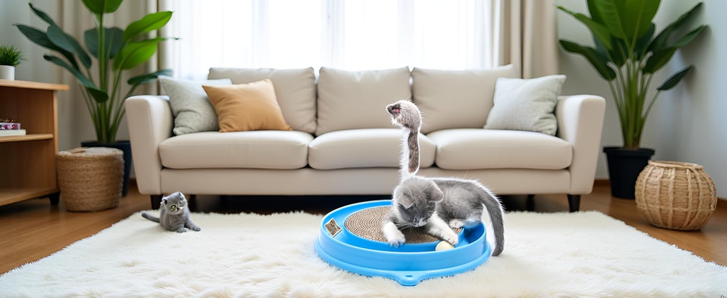 Cat scratcher - bg