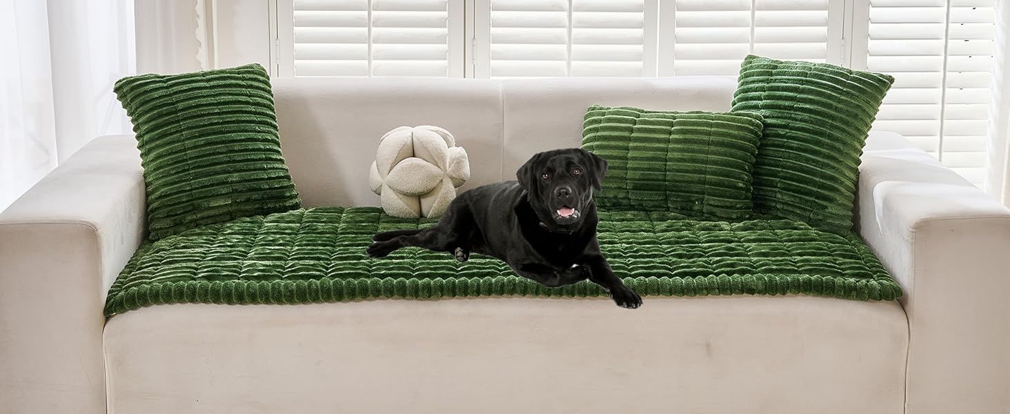 Green Couch Cover