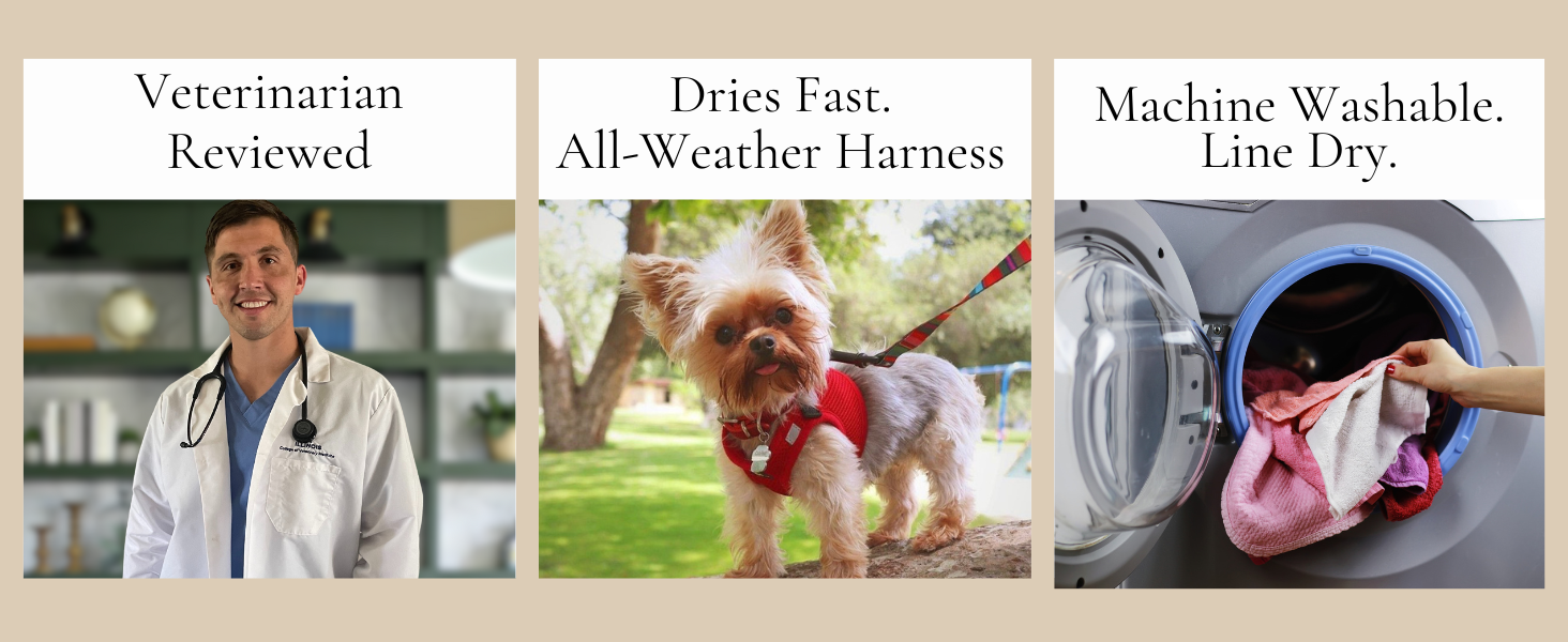 dog harness for small dogs dog harness for xxs dogs dog harness fog harness do harness