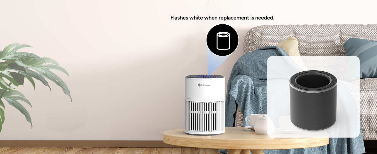 air purifier for home