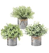 Mkono Small Fake Plants in Farmhouse Galvanized Metal Pots 3 Pack Potted Artificial Plant Eucalyp...