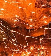 Orange Net Lights