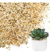 NUPICK 1-2mm Coarse Sand for Plants, 6lb Horticultural Grit for Succulents, Desert Silica Sand fo...