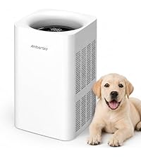https://m.media-amazon.com/images/S/aplus-media-library-service-media/119626e1-0d19-4a89-86a0-39782232cd2e.__AC_SR200,225___.jpg