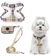 PUPTECK No Pull Dog Harness and Leash Set Reflective No Choke Step in Puppy Halter for XS Small a...