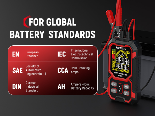 2v 24v system monitor portable detector