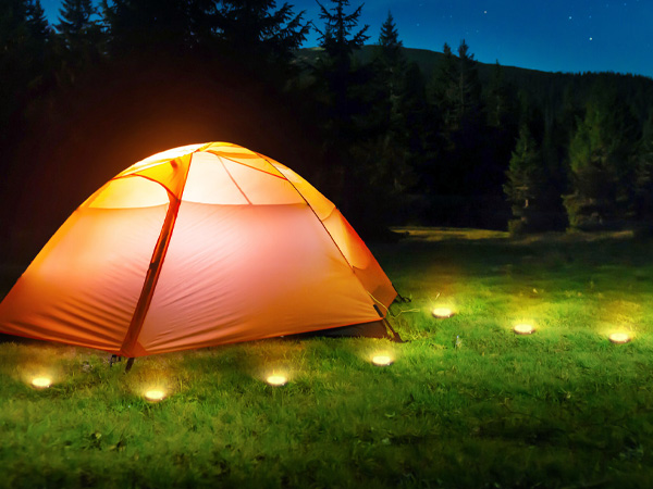 garden solar lights