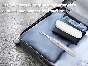 travel companion