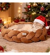 CHEERPALS Weave Cat Bed for Indoor Cats,Cute Pet Bed with Washable Cushion Fluffy Kitty Bed for S...