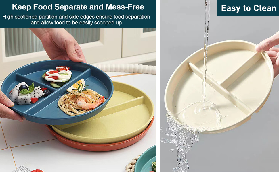 Divided Dinner Plate Set of 5