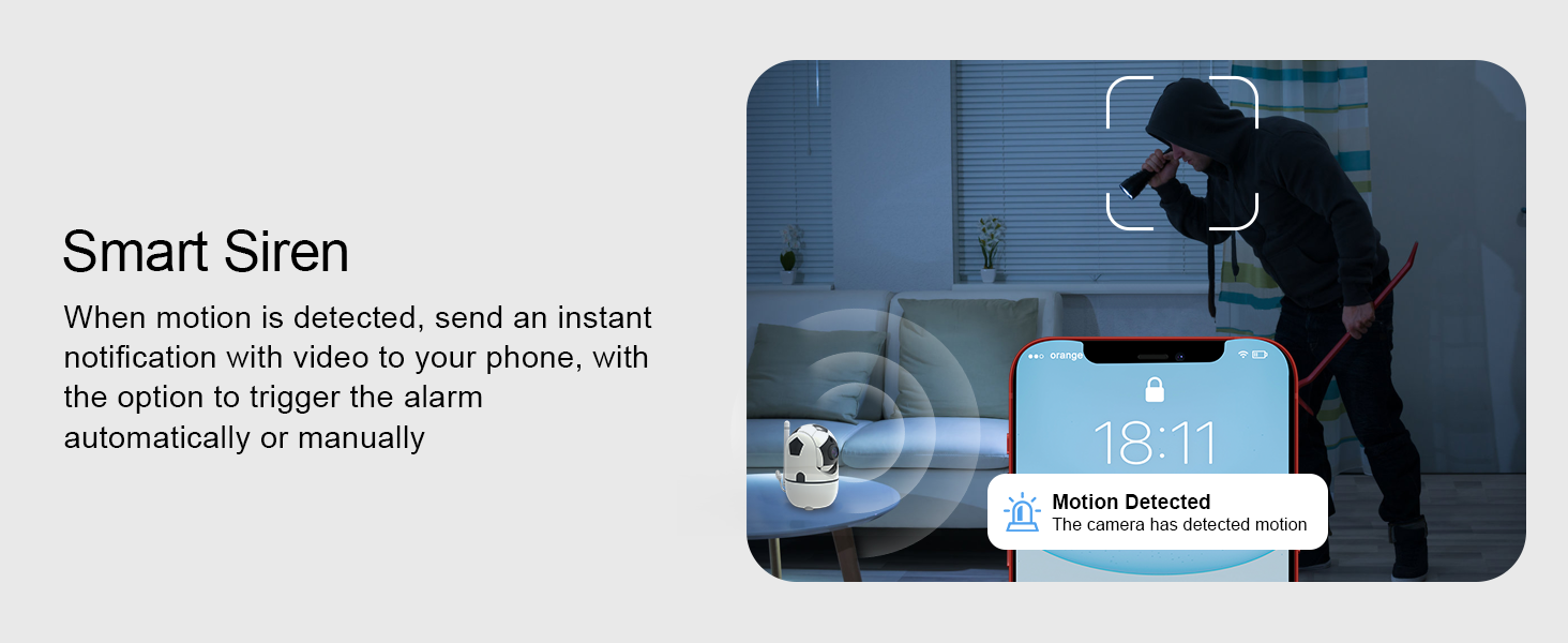 indoor camera wireless