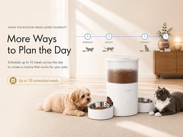 Automatic Cat Feeder
