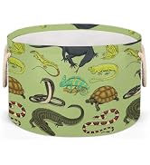 Storage Baskets - Amphibians Large Nursery Organizer Bin Box with Handles Collapsible Round Snake...