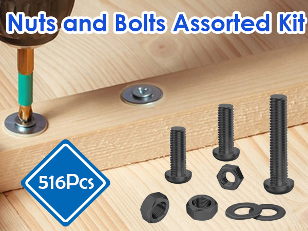 Nuts and Bolts Assortment Kit
