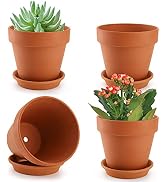 Suwimut 4 Pack Terracotta Plant Pots with Saucer, Large 6 Inch Terra Cotta Plant Pot with Drainag...