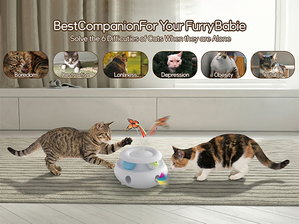 cat toy
