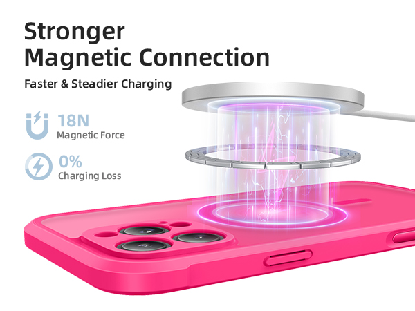 iPhone 16 Pro Max Case