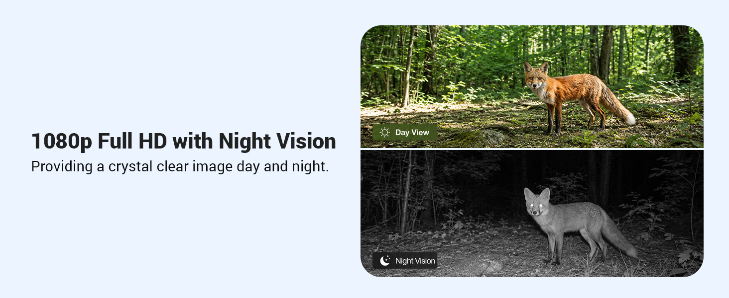 Night Vision