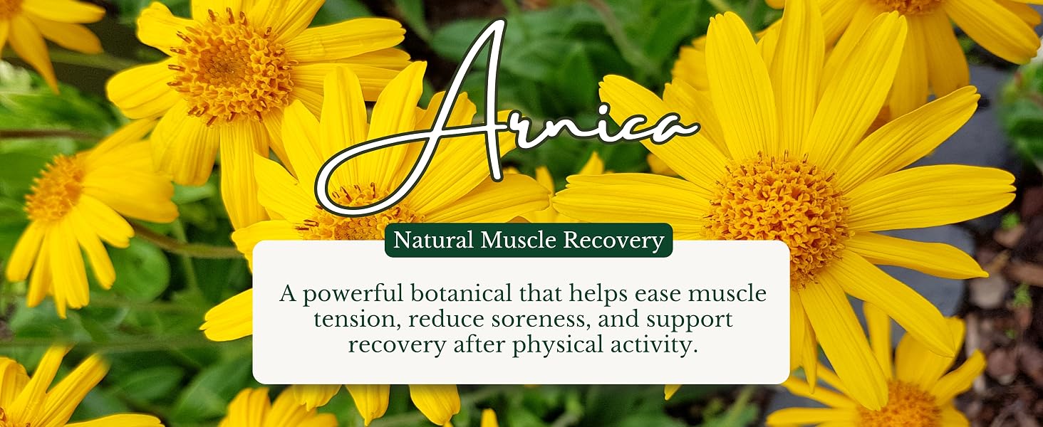 Sore Muscle Massage Oil 4