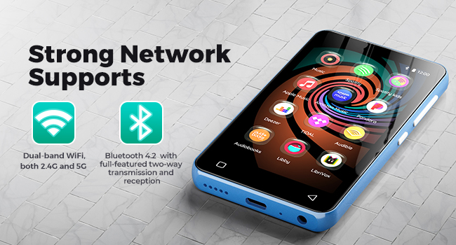 MP3 player with spotify and Pandora