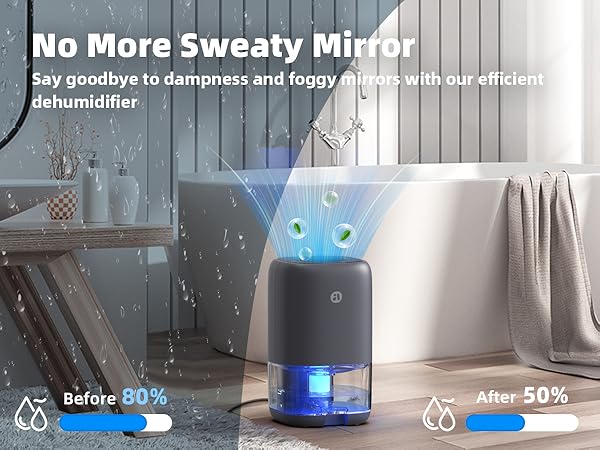 Small Dehumidifier