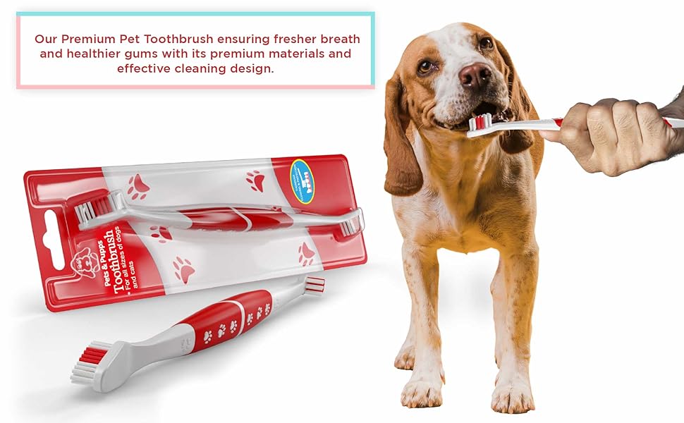 doggie toothbrush
