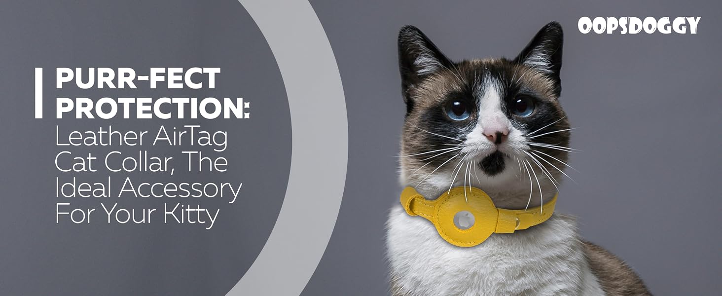 cat necklace kitten collar with bell gatos cat necessities pet accessories girl cat collars