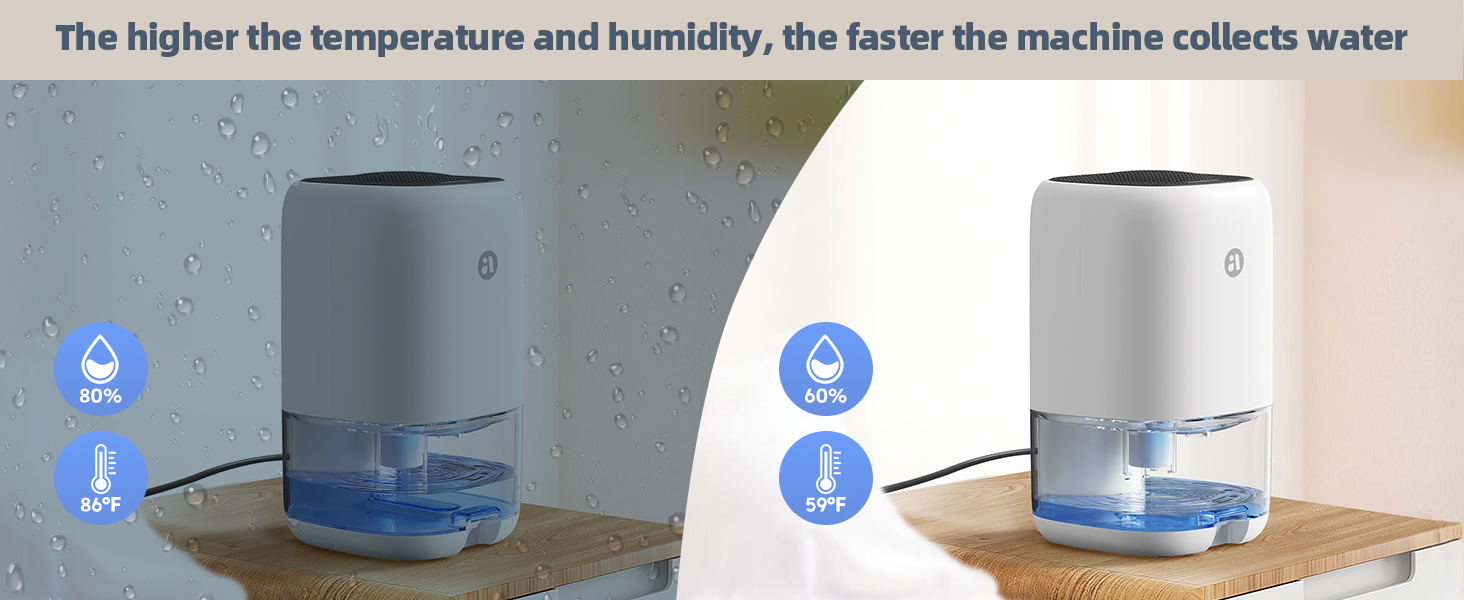 dehumidifier