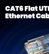 Ethernet Cable 100ft