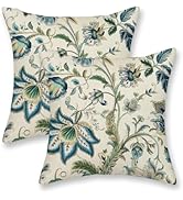 DAFENA Sage Green Blue Pillow Covers 18x18 Inch 2 Pcs Spring Chinoiserie Floral Decor Throw Pillo...