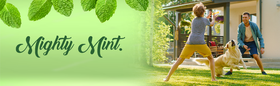 Mighty Mint Logo Weed Killer for Lawns